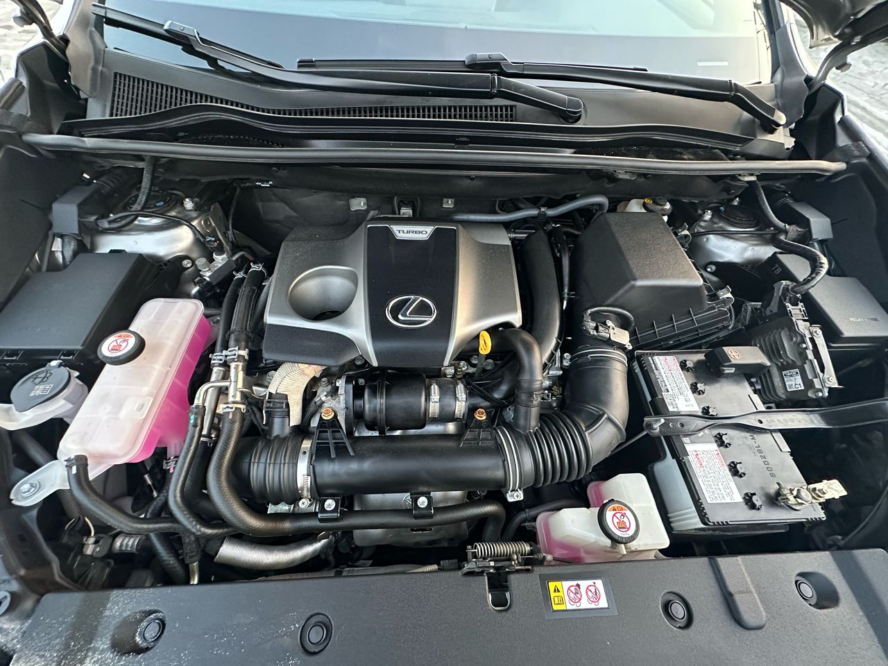 Front three-quarter photo captured when the Lexus NX was sourced for the customer before final prep.